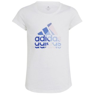 Koszulka adidas Big Logo GT Jr IB9162 Adidas