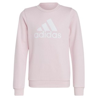 Bluza adidas Big Logo Swt Jr IC6119 Adidas