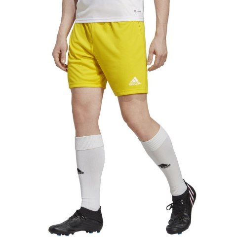 Spodenki adidas Entrada 22 M IC7404 Adidas
