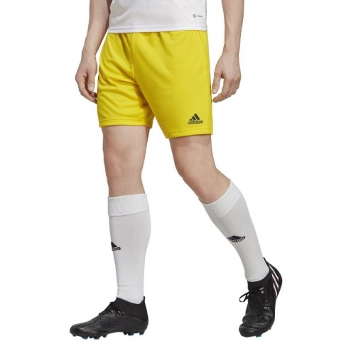 Spodenki adidas Entrada 22 M IC7404 Adidas