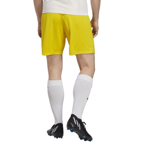 Spodenki adidas Entrada 22 M IC7404 Adidas