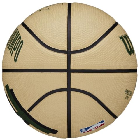 Piłka do koszykówki Wilson NBA Player Icon Giannis Antetokounmpo Mini Ball WZ4007501XB Wilson