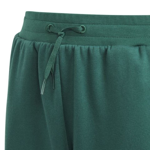 Spodnie adidas BLUV Q3 Pant Jr IA1553 Adidas