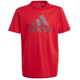 Koszulka adidas Big Logo Tee Jr IJ6262 Adidas
