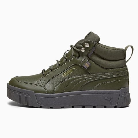 Buty Puma Tarrenz SB III Puretex M 393930-03 Puma