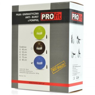 Piłka gimnastyczna Profit 65cm z pompką DK 2102 PROfit
