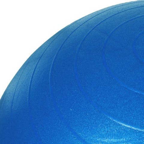 Piłka gimnastyczna Profit 65cm z pompką DK 2102 PROfit