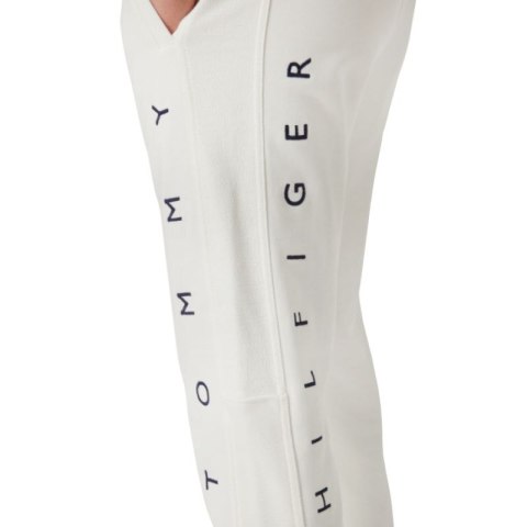 Spodnie Tommy Hilfiger Mono M MW0MW22154 Tommy Hilfiger
