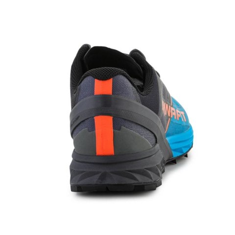 Buty do biegania Dynafit Alpine M 64064-0752 Dynafit