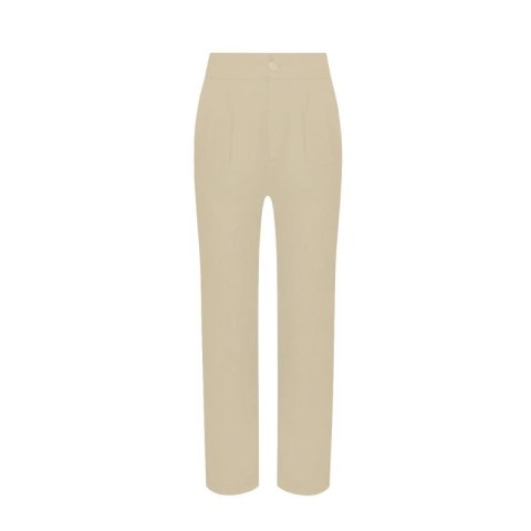 Spodnie Tommy Jeans Tjw Shrs Pleated Tapered Pant W DW0DW09736 Tommy Hilfiger