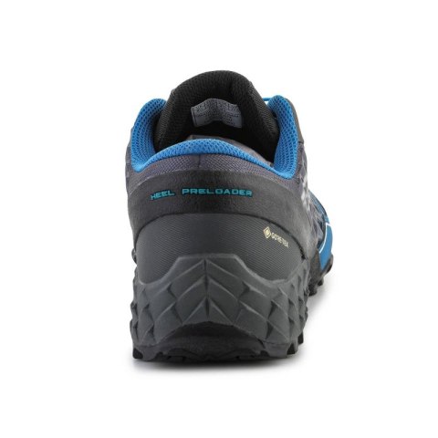 Buty do biegania Dynafit Feline Sl Gtx M 64056-7800 Dynafit