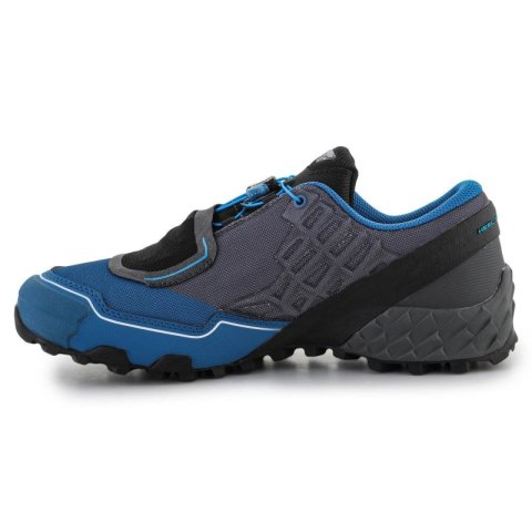 Buty do biegania Dynafit Feline Sl Gtx M 64056-7800 Dynafit