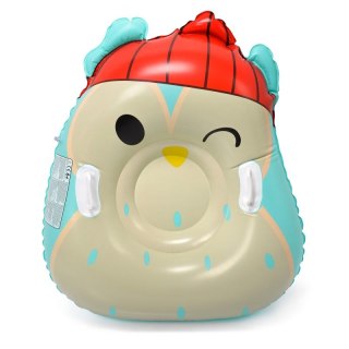 Ślizg śnieżny Meteor Owl 16765 Meteor