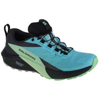 Buty do biegania Salomon Sense Ride 5 GTX W 472160 Salomon