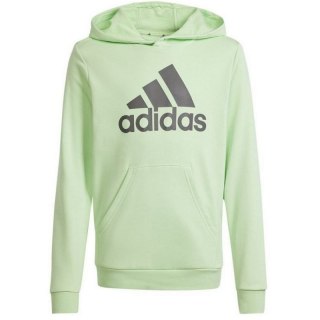 Bluza adidas Big Logo Hoodie Jr IS2591 Adidas