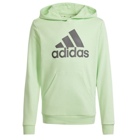 Bluza adidas Big Logo Hoodie Jr IS2591 Adidas