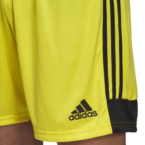 Spodenki adidas Tastigo 19 Shorts M DP3249 Adidas