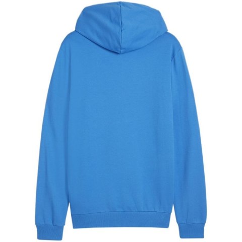 Bluza Puma Team Goal Casuals Hooded M 658595 02 Puma