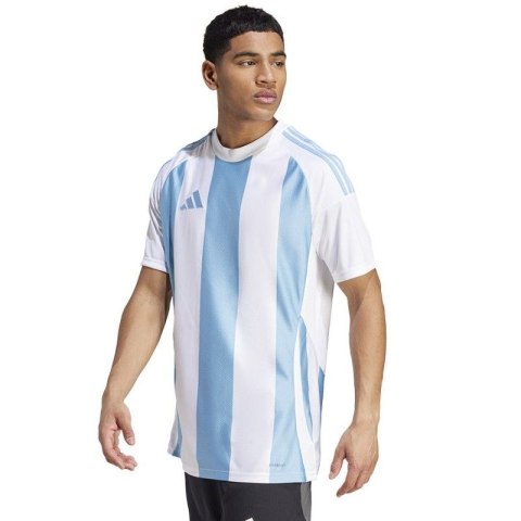 Koszulka adidas Striped 24 JSY M IW4555 Adidas
