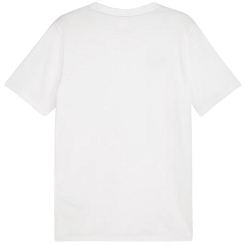 Koszulka Puma Team Goal Casuals Tee M 658615 04 Puma