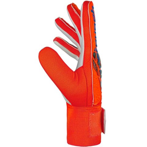Rękawice bramkarskie Reusch Attrakt Starter Solid 5470514 2210 Reusch