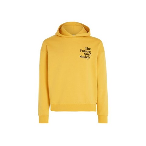 Bluza O'Neill Future Surf Society Hoodie W 92800613435 ONeill