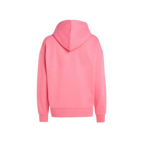 Bluza O'Neill Future Surf Society Hoodie W 92800613440 ONeill
