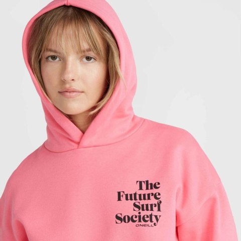 Bluza O'Neill Future Surf Society Hoodie W 92800613440 ONeill