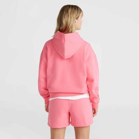 Bluza O'Neill Future Surf Society Hoodie W 92800613440 ONeill