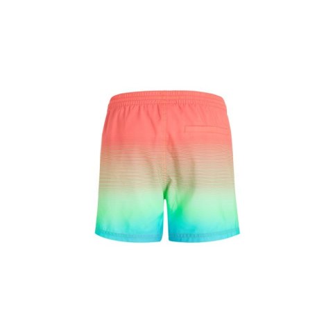 Szorty kąpielowe O'Neill Jack Cali Gradient 15'' Swim Shorts M 92800613575 ONeill