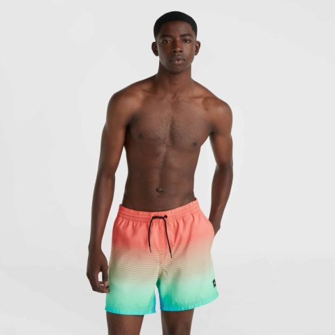 Szorty kąpielowe O'Neill Jack Cali Gradient 15'' Swim Shorts M 92800613575 ONeill