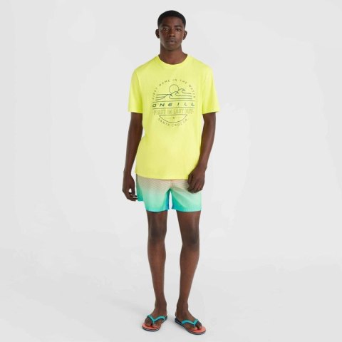 Szorty kąpielowe O'Neill Jack Cali Gradient 15'' Swim Shorts M 92800613575 ONeill
