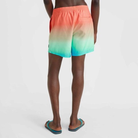 Szorty kąpielowe O'Neill Jack Cali Gradient 15'' Swim Shorts M 92800613575 ONeill