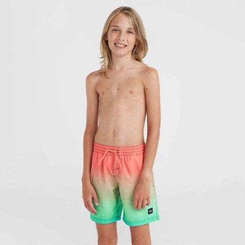 Szorty kąpielowe O'Neill Jack Cali Gradient 14'' Swim Shorts Jr 92800613570 ONeill