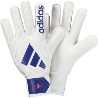 Rękawice bramkarskie adidas Copa GL CLB IX3835 Adidas