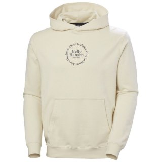 Bluza Helly Hansen Core Graphic Sweat Hoodie M 53924 034 Helly Hansen