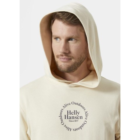 Bluza Helly Hansen Core Graphic Sweat Hoodie M 53924 034 Helly Hansen