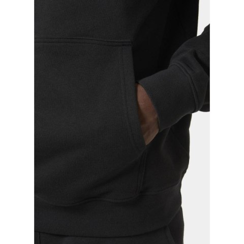 Bluza Helly Hansen z kapturem Core Graphic Sweat Hoodie M 53924 993 Helly Hansen