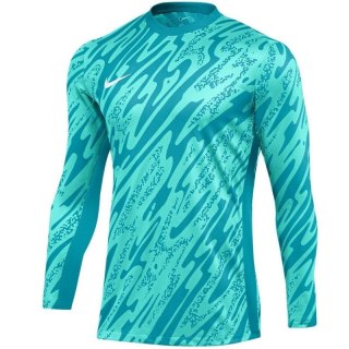Bluza Nike Gardien V Goalkeeper DF V M FD7474-354 Nike