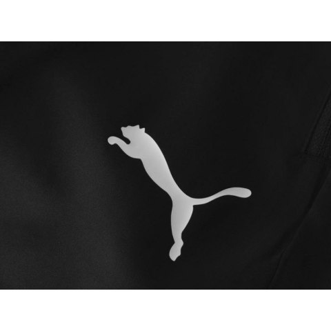 Spodnie dresowe Puma Liga M 655317 03 Puma