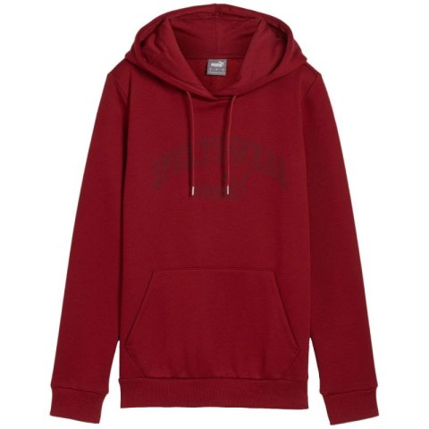 Bluza Puma Ess+ Logo LAB Hoodie FL W 682987 13 Puma