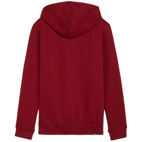 Bluza Puma Ess+ Logo LAB Hoodie FL W 682987 13 Puma