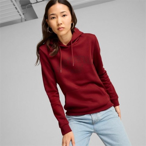 Bluza Puma Ess+ Logo LAB Hoodie FL W 682987 13 Puma
