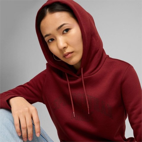 Bluza Puma Ess+ Logo LAB Hoodie FL W 682987 13 Puma