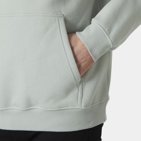 Bluza Helly Hansen z kapturem Cotton Fleece Hoodie M 54158 462 Helly Hansen
