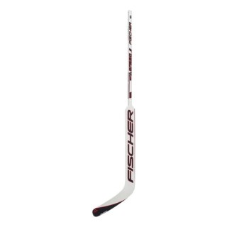 Kij bramkarski hybrydowy Fischer GF550 '24 Sr H177123,25 Fischer