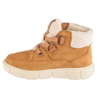 Buty Sorel Explorer III NW Lace WP W 2077961252 Sorel