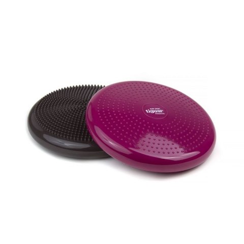Dysk stabilizujący tiguar (air disc) DR-GT0001 Tiguar