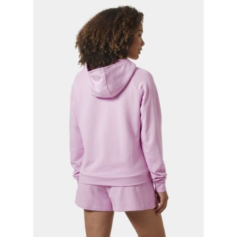 Bluza Helly Hansen Core Graphic Hoodie W 54239 052 Helly Hansen