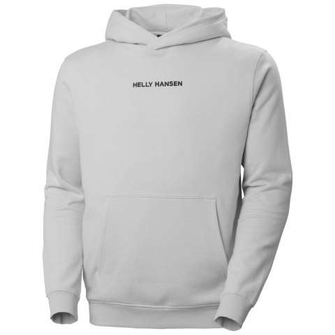 Bluza Helly Hansen Core Graphic Sweat Hoodie M 53924 825 Helly Hansen